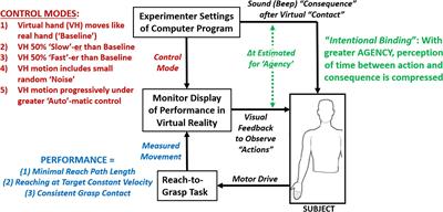 Agency and Performance of Reach-to-Grasp With Modified Control of a Virtual Hand: Implications for Rehabilitation